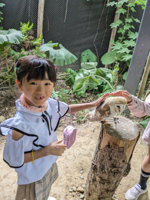 ふわふわのふくろう